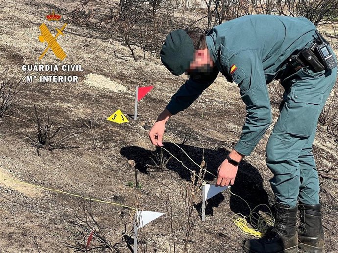 La Justicia inicia un procedimiento para esclarecer las causas del incendio de Los Gallardos