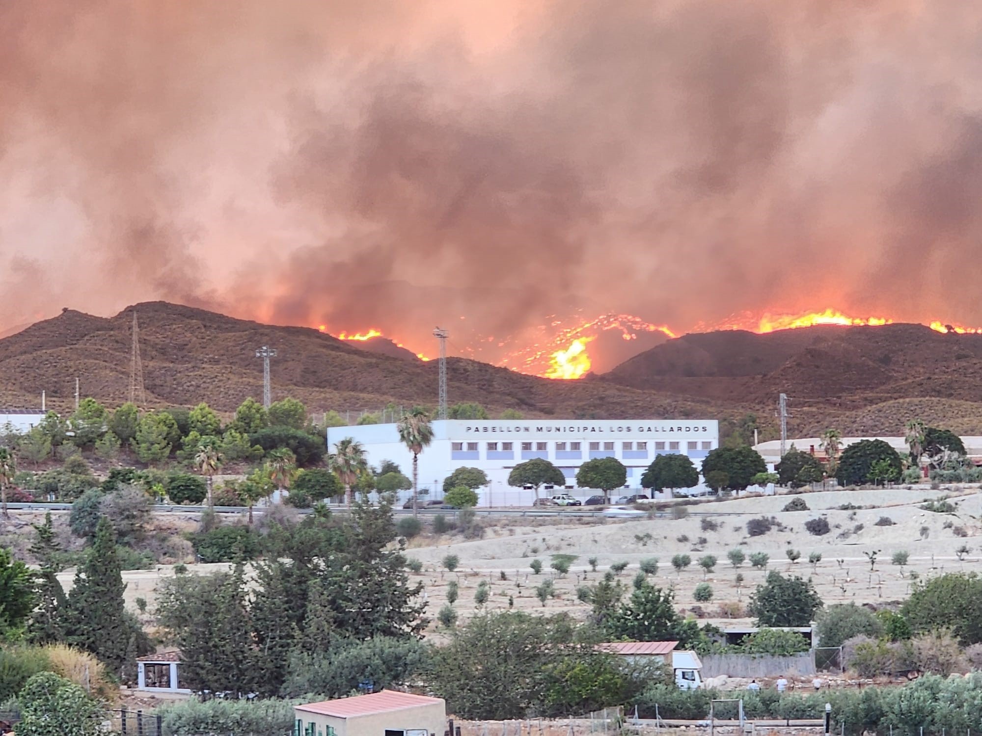 El fuego originado en Los Gallardos llega a Antas y comienza el desalojo de vecinos